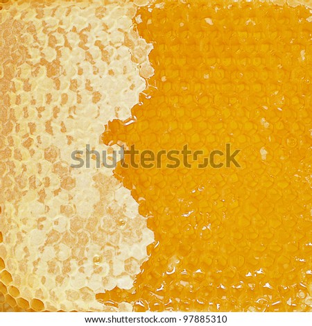 Honey comb texture - golden background