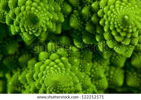 Romanesco broccoli cabbage marco. Nature fractal surface with spital pattern.