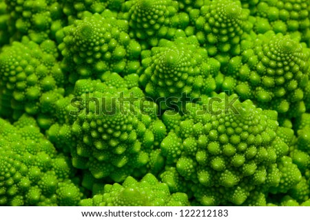 Romanesco broccoli cabbage marco. Nature fractal surface with spital pattern.