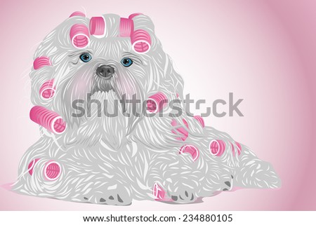 Shih tzu female dog with curlers. EPS 10 format.