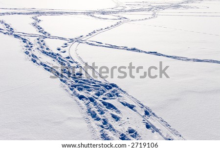 Snow field with footsteps.
