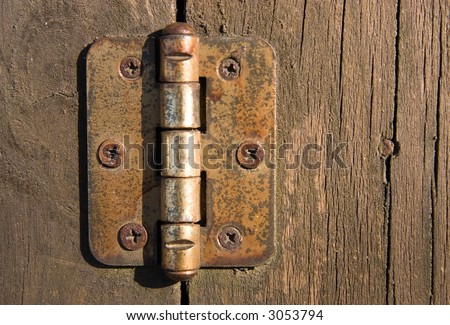 Old door hinge on wooden door.