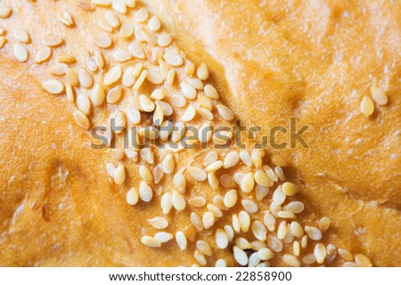 Bread with seed. Macro photo.