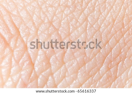 up human skin texture macro stock photo 293974619 human skin macro texture stock photo 65616337 up human skin texture macro stock photo 293974619 human skin macro texture stock photo 65616337
