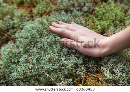 Young woman hand touching forest moss.