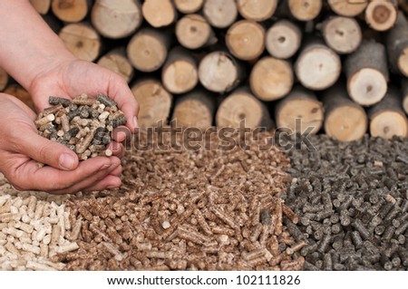 Different kind of pellets- oak, pine,sunflower, in female hands- selective focus on the hand and the heap