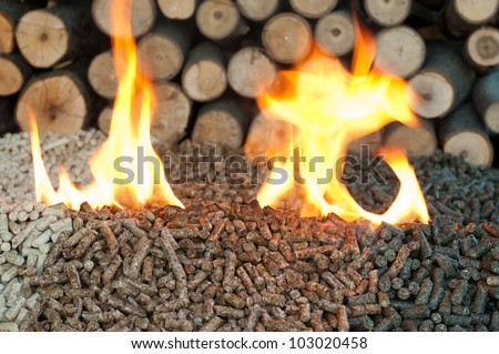 Different kind of pellets- oak, pine,sunflower, in flames. Selective focus on the heap.