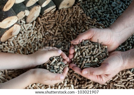 Different kind of pellet- oak, pine,sunflower, in male and child hands- selective focus on the hand.