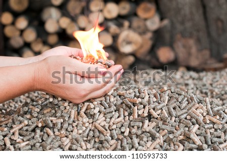 Different kind of pellets- oak, pine,sunflower- selective focus on  the heap