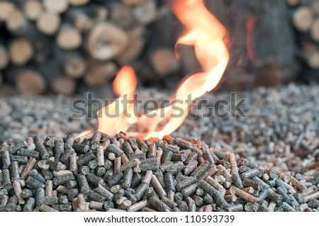 Different kind of pellets- oak, pine,sunflower, on a flames-selective focus on  the heap