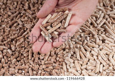 Two  kind of pellets in female hands