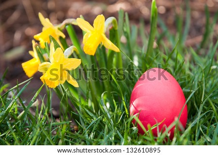 Red Easter egg hidden in the grass