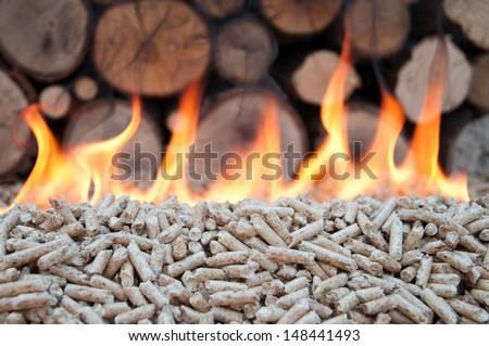Pellet in flames- stock photo
