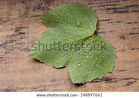 Vine leaf on an old wood