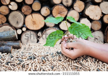 Young tree growing out of heap of biomass in hands- stock photo