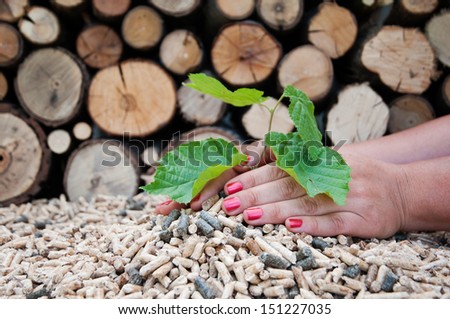 Young tree growing out of heap of biomass in hands- stock photo