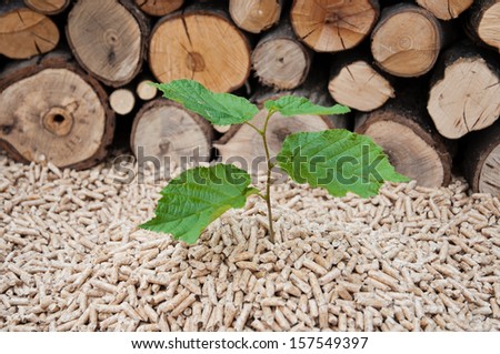 Young tree comes out of heap of pellets