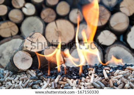 Oak and sunflower pellets in flames- stock image
