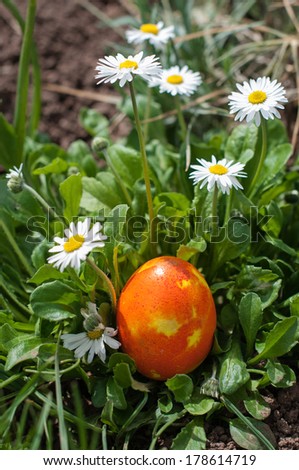 Colorful Easter egg hidden in a garden