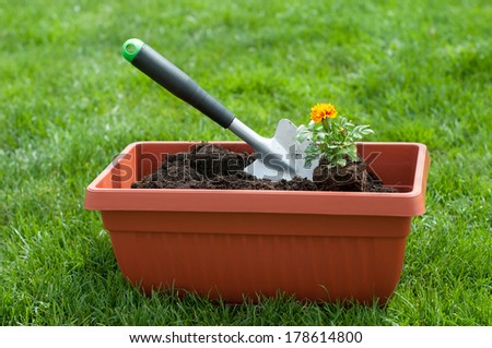 Garden shovel and a flower in a pot with compost