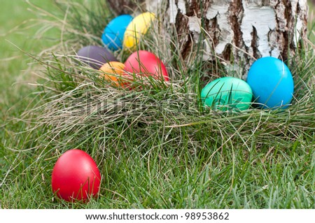 Different color Easter eggs in a nest- selective focus on the red egg