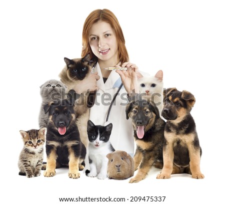 veterinarian and a group of pets