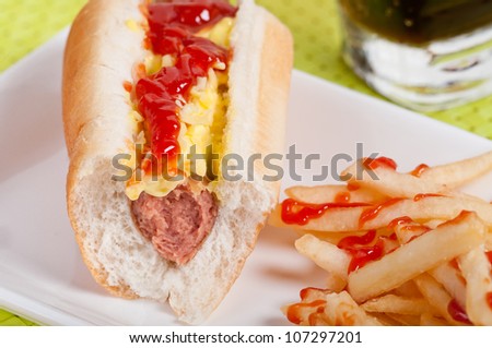 bitten hotdog sandwich with french fries but left over