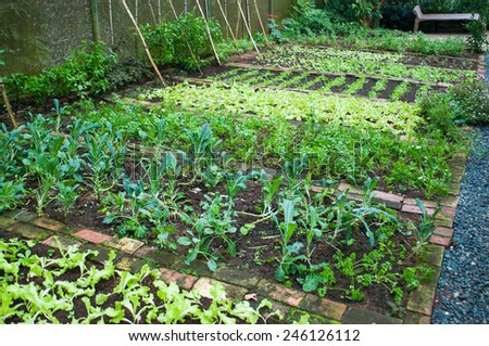 green house garden