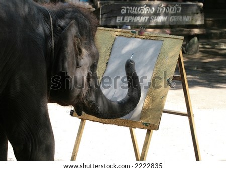 Lets Draw Big Fella! a big elephant from thailand showing his drawing skills.