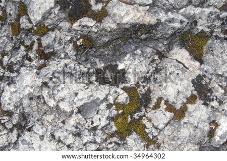 Moss on a a grey granite stone. Ideal as a background.
