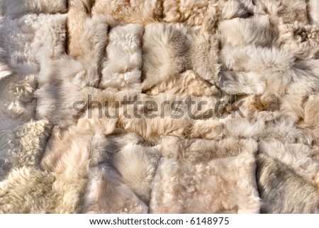 Carpet from the dressed small fur skins