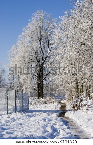 Snowy winter road with sun lighting