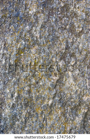 Fragment of granite rock. Moss visible (small yellow spheres).