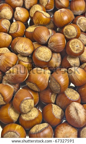 large dark hazelnuts. Background for food poster