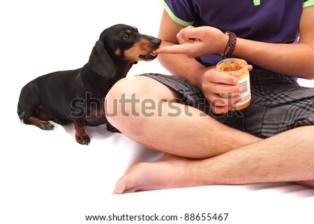 Black Dachshund dog enjoying peanut butter from young Caucasian boy\'s finger