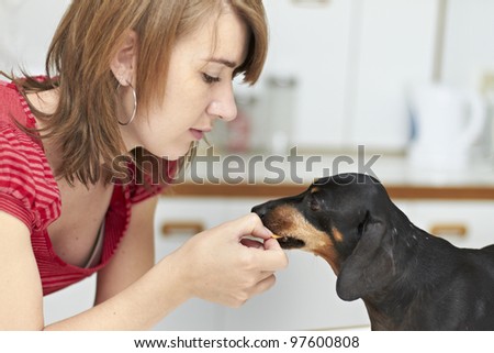 Black Dachshund dog receiving a treat from young lady owner