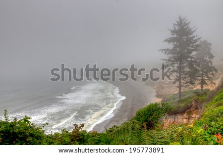 CA- Redwoods National Park.  This scene is located in the oceanside area of the national park, along the Pacific Ocean.
