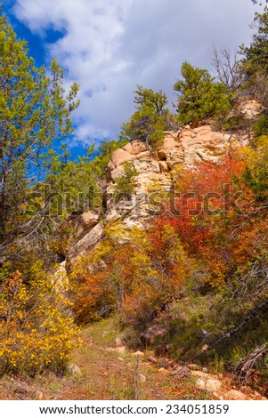 AZ-Grand Canyon-North Rim-Saddle Mountain Wilderness-Nankoweep Trail