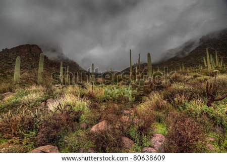 AZ-Superstition Mountain Wilderness- HDR-I was attempting to show the darkness and intensity of the approaching storm as the clouds begin to envelope the mountains.