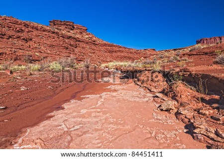 This image was taken on the Murphy Loop Trail off the White Rim Road in the Canyonlands National Park in Utah.