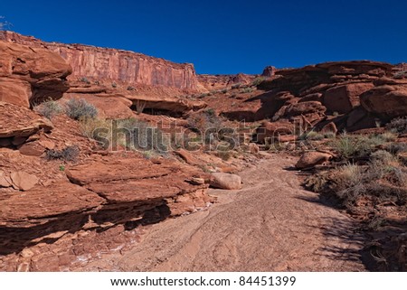 This image was taken on the Murphy Loop Trail off the White Rim Road in the Canyonlands National Park in Utah