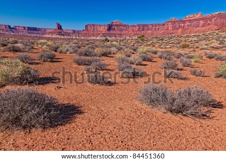 This image was taken on the Murphy Loop Trail off the White Rim Road in the Canyonlands National Park, Utah