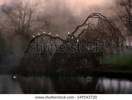 Birds sitting on eerie weeping willow tree in the fog Birds sitting on eerie weeping willow tree in the fog
