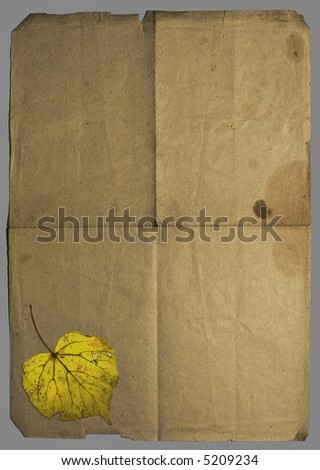 Vintage crumpled retro style paper with many folds and with yellow fallen autumn leaf in lower part. Image isolated on grey with clipping paths