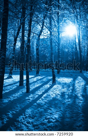 Abstract blue vibrant colors winter image: sun shining through winter trees and making mystic shadows