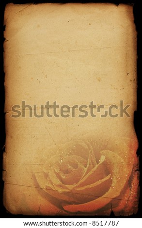Retro, old-fashioned Valentine festive paper background with the big rose in lower part