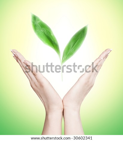 Conceptual environmental image. Female hands holding a new green plant. Image in warm lush colors