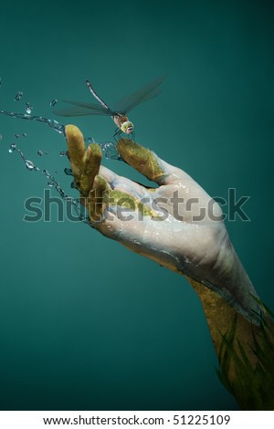 Conceptual environmental image. Hand of nature streaming water - source of life. Focus on dragonfly