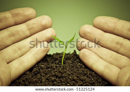 human hands showing to new green life. Conceptual environment image.