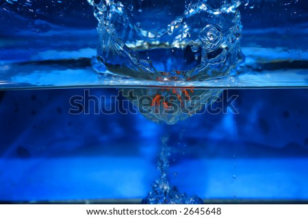 orange splashing in the water blue background
